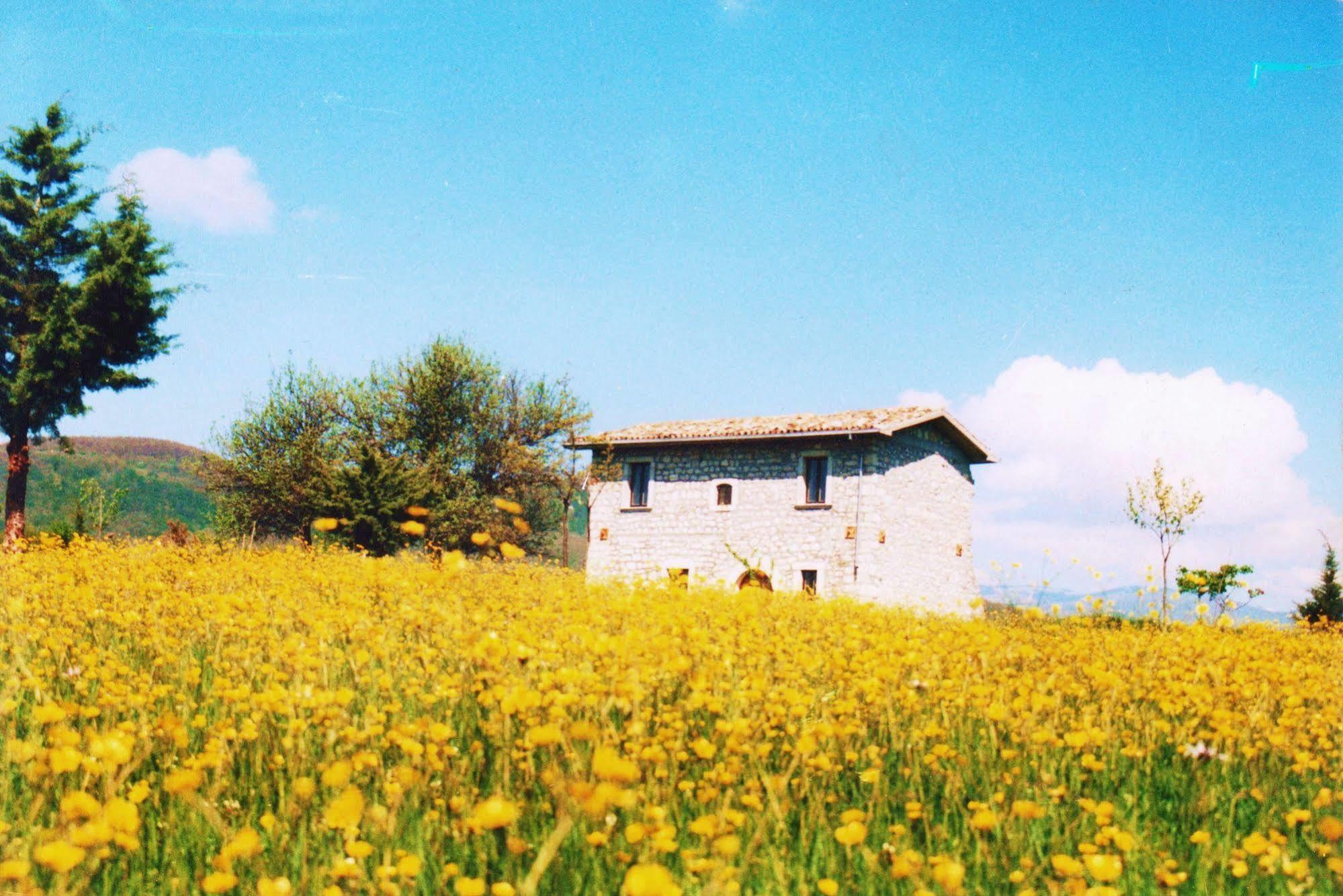 Villa Casino Tonti Iarussi à Forlì del Sannio Extérieur photo